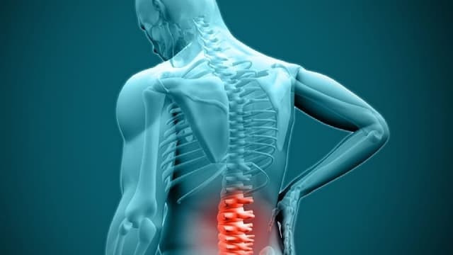 تاثیر استرس بر تشدید درد‌های اسکلتی و عضلانی + فیلم
