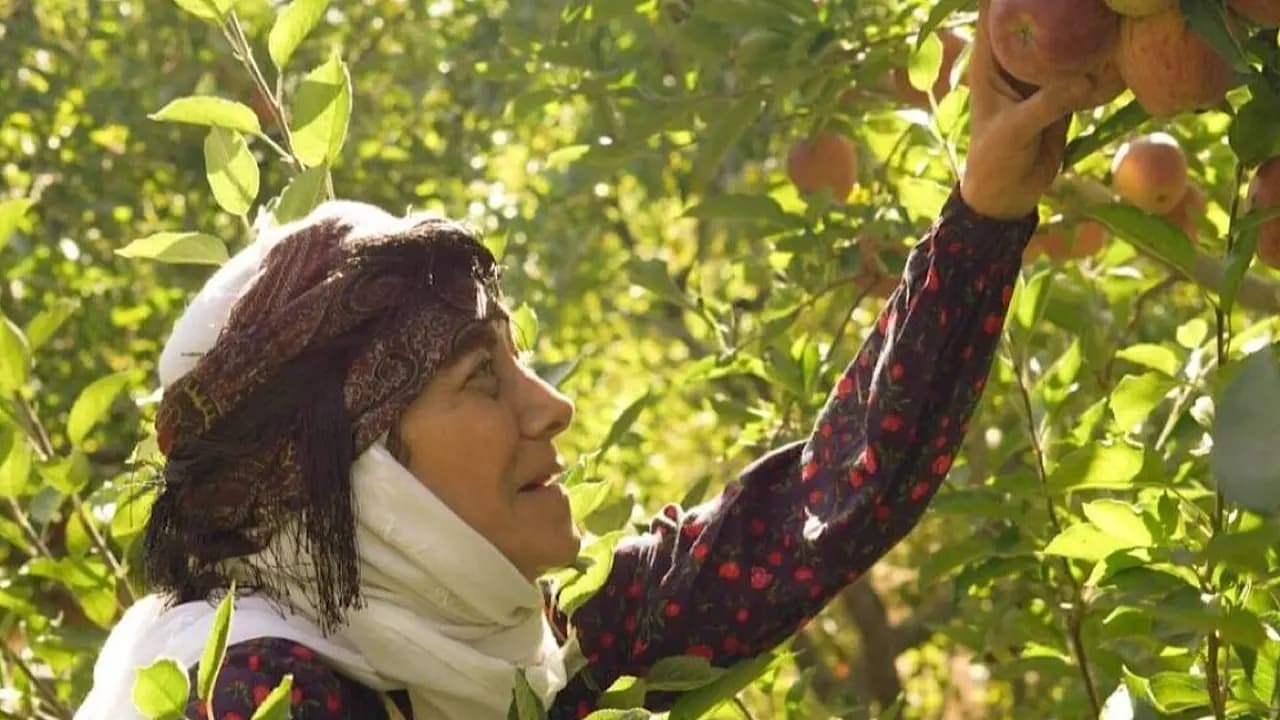 «مادران»؛ داستانی از عشق و استقامت در اقصی نقاط ایران
