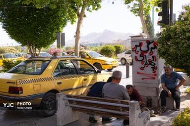 تصویر 11