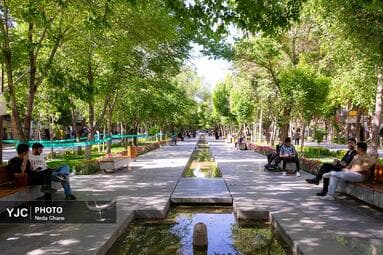 تصویر 8