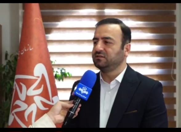 استمرار عرضه وفروش خودرو توسط خودروسازان و وارد کنندگان