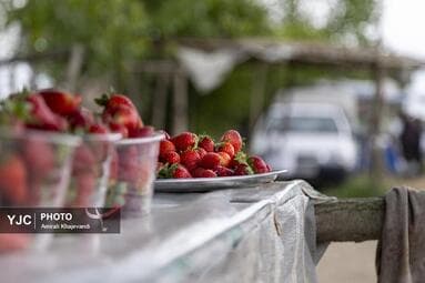 تصویر 2
