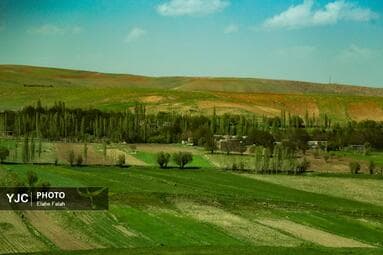 تصویر 8
