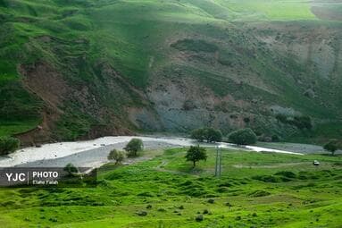 تصویر 11
