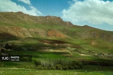 تصویر 14