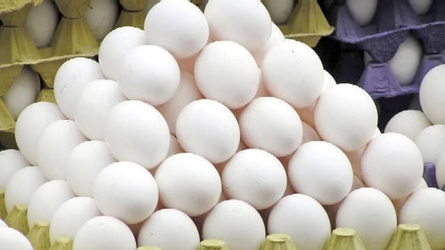 ۳ هزار کارتن تخم مرغ از طریق مرزهای آذربایجان غربی وارد کشور شد