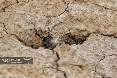 تصویر 9