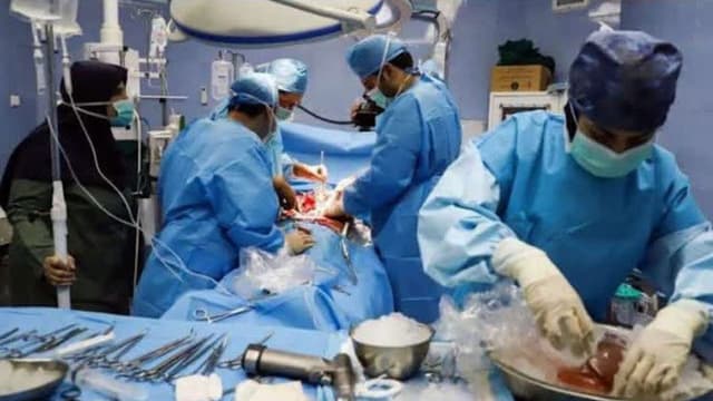 ۱۲۰۰ اهدای عضو در سال/ ۷۰۰۰ عضو پیوندی به دلیل عدم رضایت خانواده متوفی دفن میشود