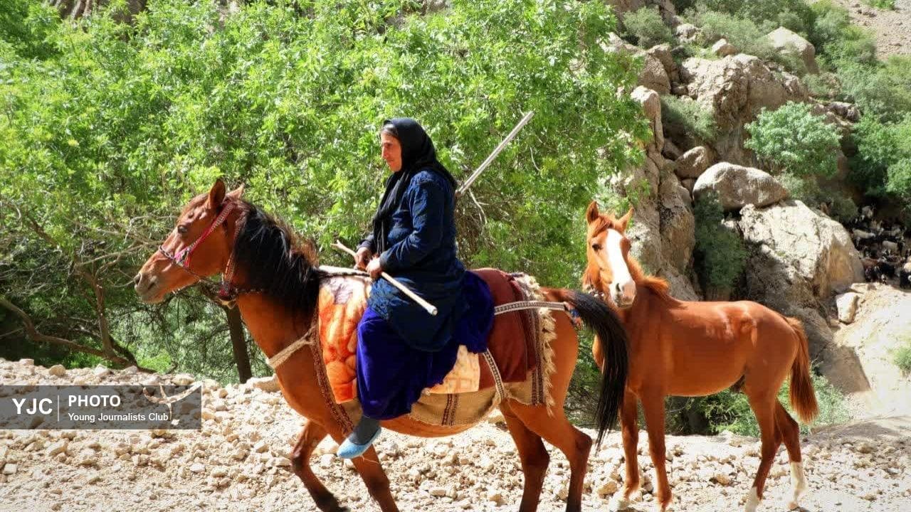 شکوهِ سادگی؛ تپش زندگی در قلب روستا + تصاویر
