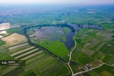 تصویر 4