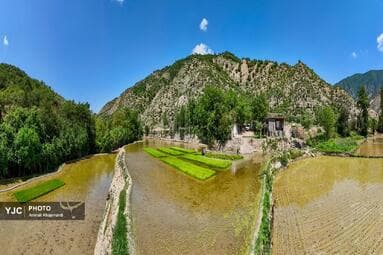 تصویر 11