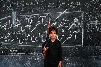 تصویر 12