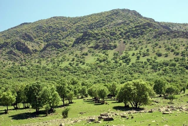 تصویر 2