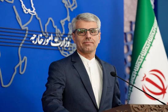 بقائی: انجمن‌های دوستی کمک‌کار دستگاه دیپلماسی در عرصه بین‌المللی هستند