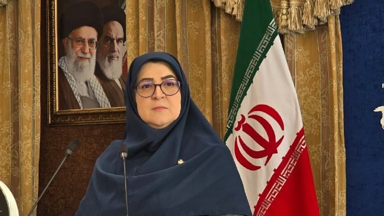 مهاجرانی: مبلغ کالابرگ حتما افزایش می‌یابد/ برنامه‌ای برای افزایش حقوق کارکنان دولت نداریم