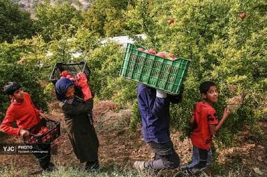 تصویر 3