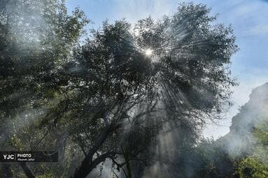 تصویر 11
