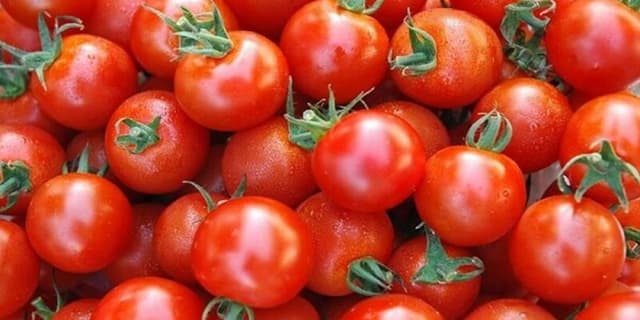 قیمت گوجه‌فرنگی کاهشی شد