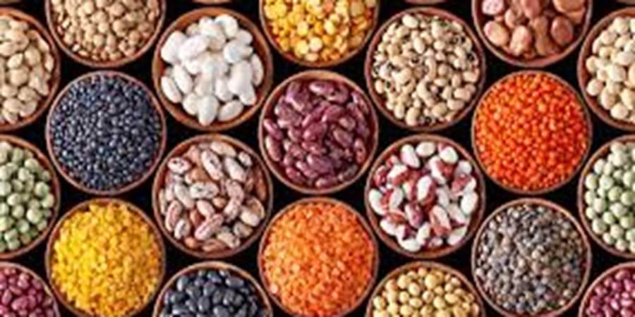 لغو ممنوعیت صادرات حبوبات