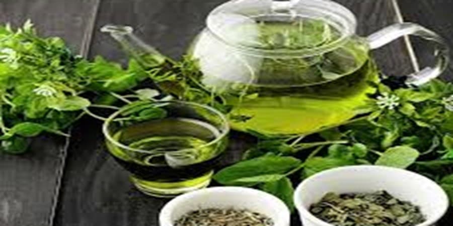 پاسخ سازمان غذا و دارو به خاصیت درمان چاقی با چای سبز