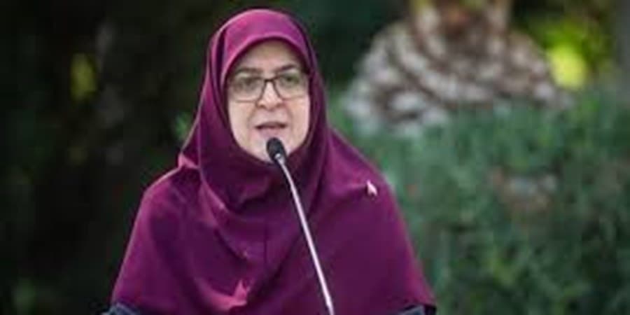 مهاجرانی: هر ۱ درجه کاهش دما معادل ۲۵ میلیون مترمکعب صرفه‌جویی گاز است
