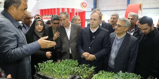بخش کشاورزی بیشترین آسیب را از ناترازی انرژی می‌بیند