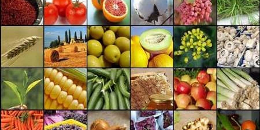 افزایش ۵ برابری تولید محصولات کشاورزی در کشور