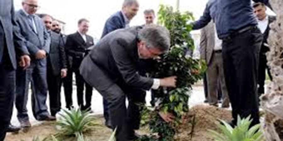 کاشت نهال توسط مدیرعامل بیمه ایران در روز درختکاری