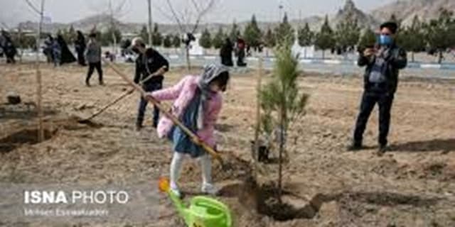 کاشت نهال به یاد اهداکنندگان عضو