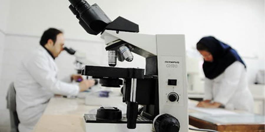 پرداخت تسهیلات به دانشجویان دکتری در «طرح پژوهش‌یار»