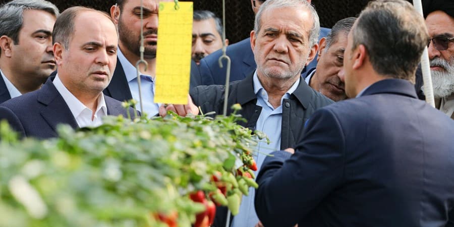 بازدید رئیس‌جمهور از گلخانه مکانیزه ورامین
