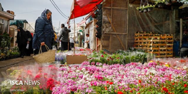 نرخ گل‌های بهاره اعلام شد