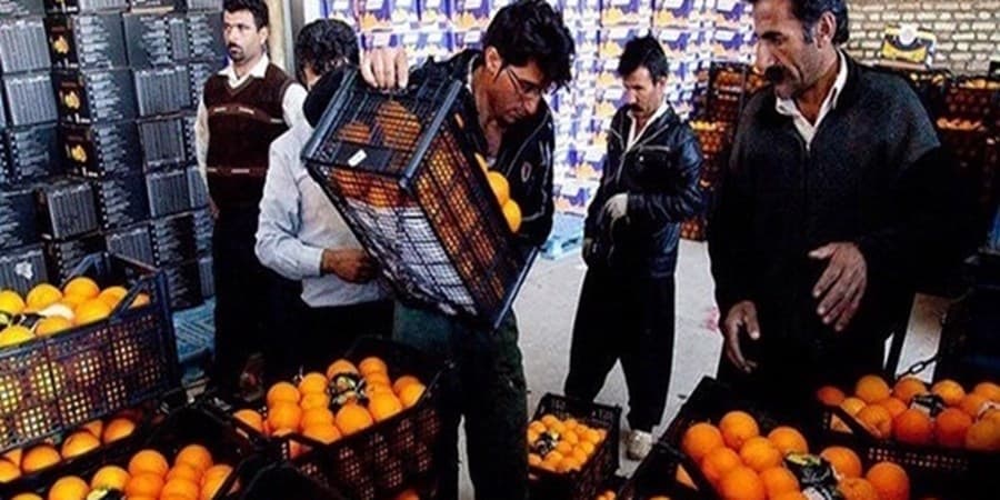 جزییات میوه تنظیم بازاری شب عید