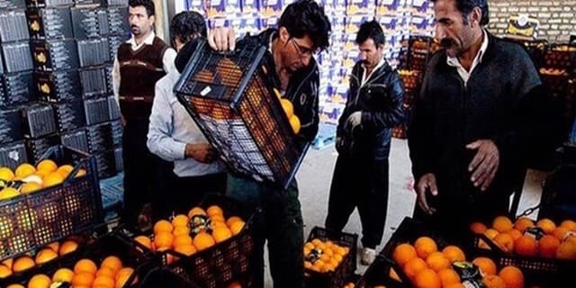 جزییات میوه تنظیم بازاری شب عید