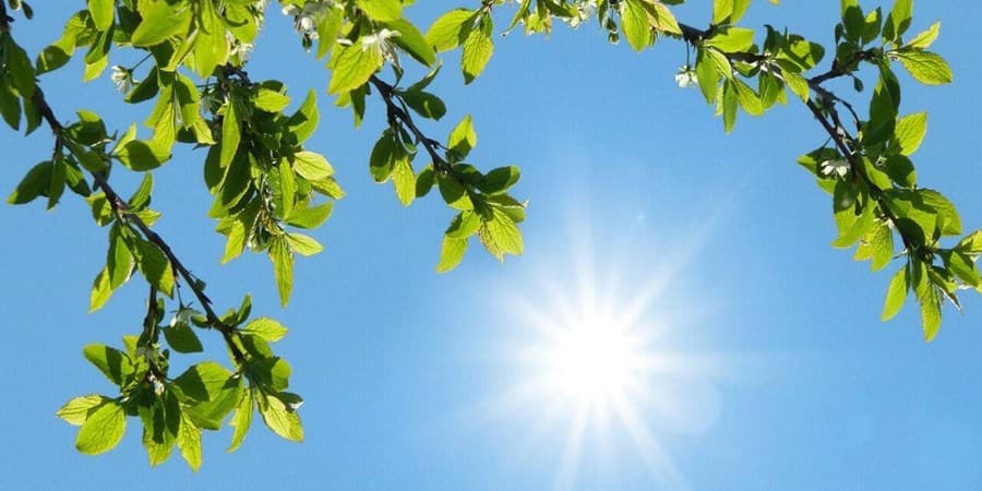 افزایش تدریجی دما در اغلب مناطق کشور