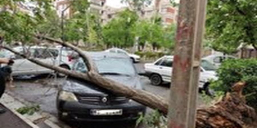 هشدار وزش باد شدید در تهران به مدت چهار روز