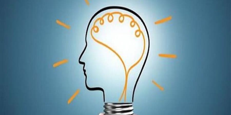 تولید سوخت از انبه و پوست نارگیل توسط دانش‌آموز نخبه ایرانی