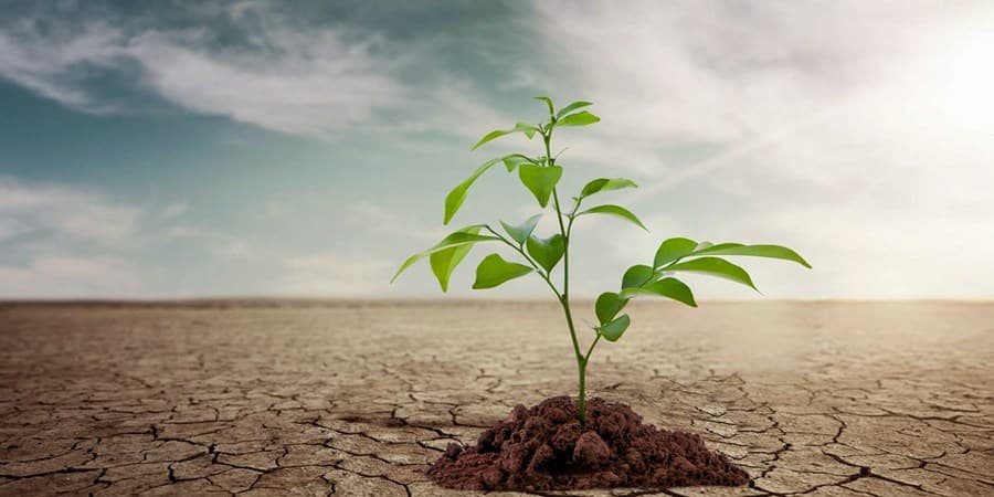 پیشنهادی برای مدیریت بحران آب