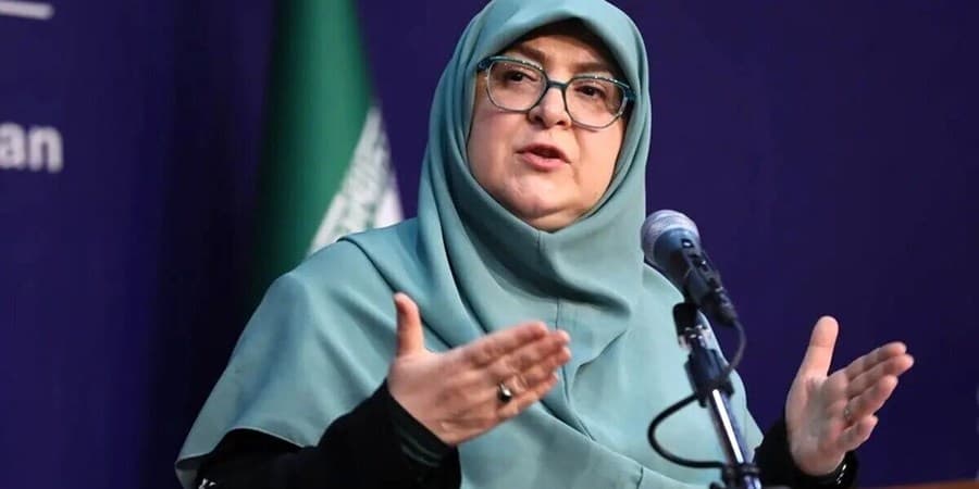 سخنگوی دولت: تقسیم‌کار برای تسهیل سفر اربعین انجام شده است