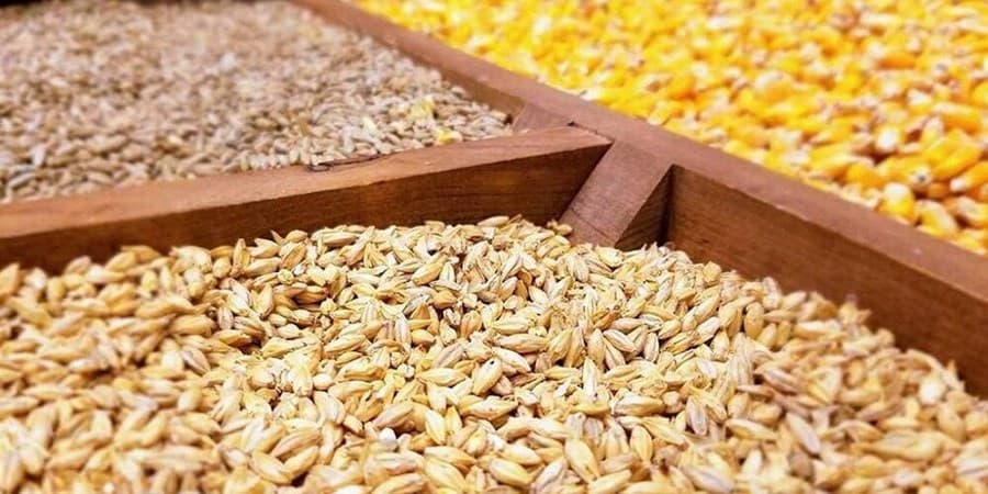 علت نوسان قیمت و کمبود نهاده دامی در بازار چیست؟