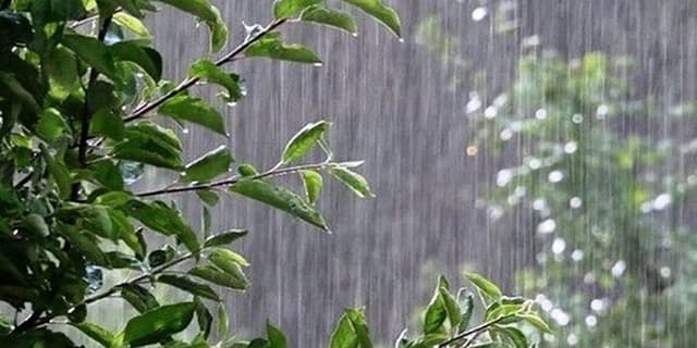 بارش باران در برخی استان‌ها/ وزش باد و خیزش گرد و خاک در نقاط مختلف کشور