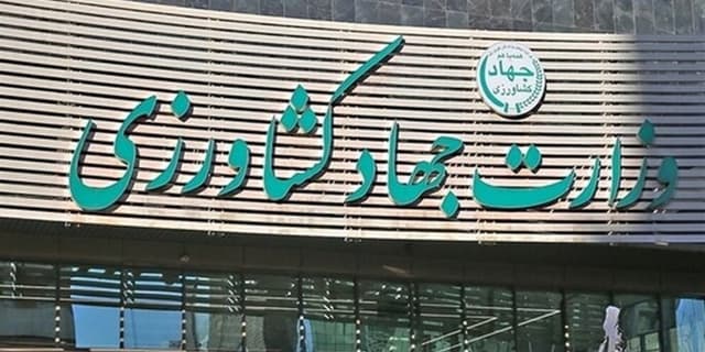 تولید نهاده‌ دامی در سال جاری 12 میلیون تن کاهش یافت