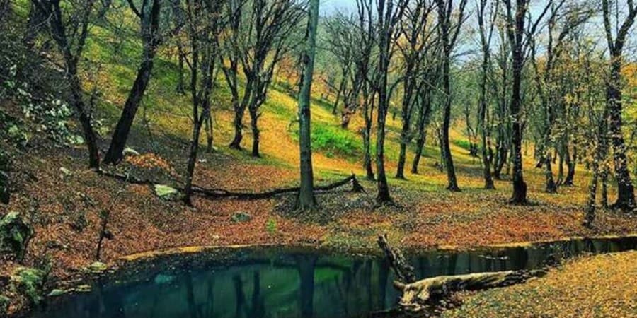 احراز شهادت محیط‌بانان پارک ملی گلستان