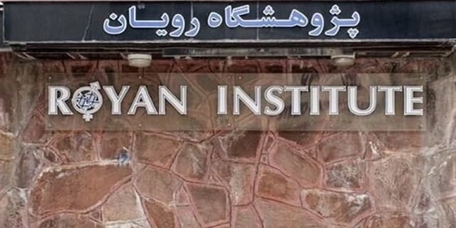 درمان زخم‌های دیابتی مزمن با پیوند بافت نوزادی