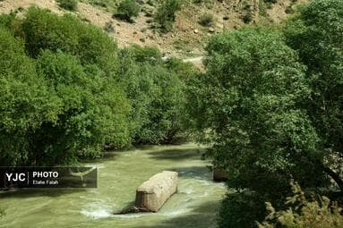 تصویر 7