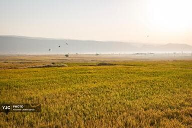 تصویر 1
