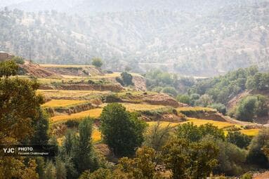 تصویر 2