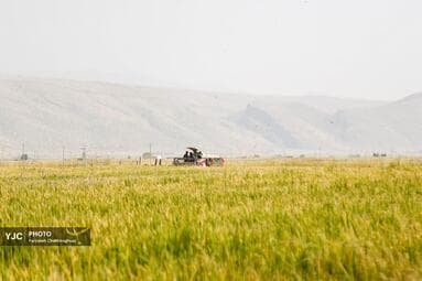 تصویر 6