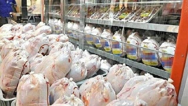 تأمین ۶۱۰ تن گوشت مرغ آماده طبخ از مازندران جهت تأمین نیاز پایتخت و سایر استانها